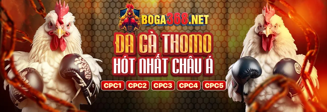Thỏa thuận điều khoản dịch vụ của Bongdalu